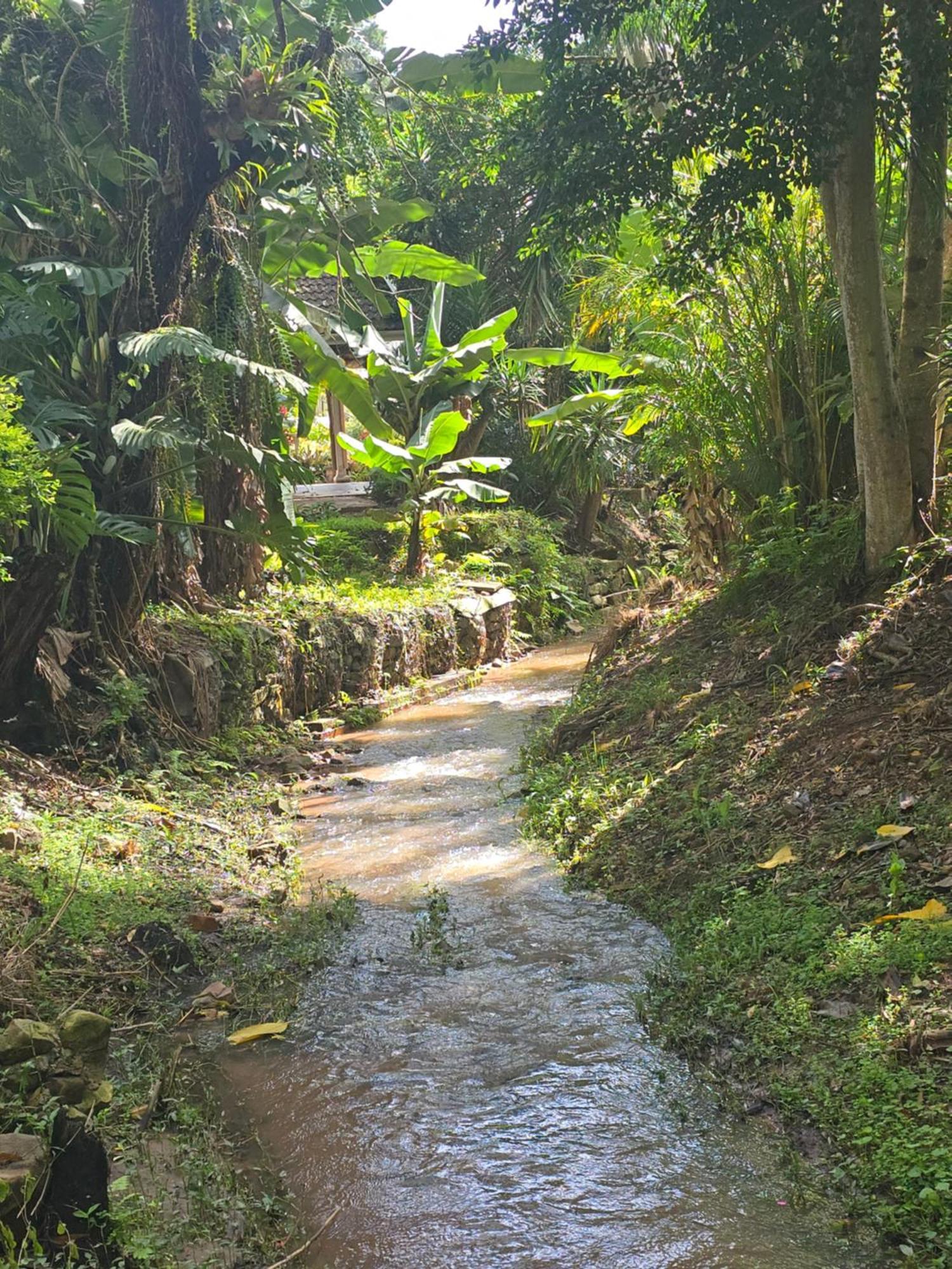 River Heaven Bnb Pinetown Zewnętrze zdjęcie